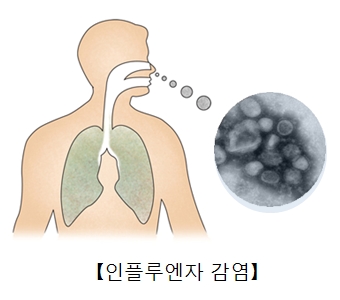 파라인플루엔자바이러스균의현미경사진