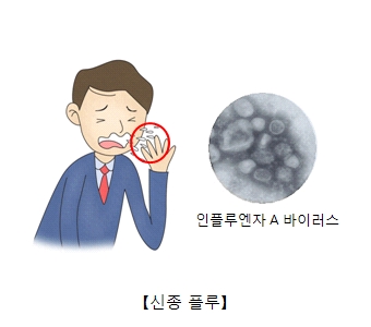 인플루엔자 A바이러스 신종플루의 예시