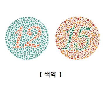 색맹테스트 12번과 15번