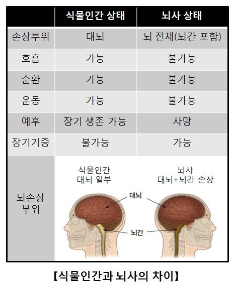 식물인간과뇌사의차이점 식물인간상태일때 손상부위-대뇌,호흡-가능,순환-가능,운동-가능,예후-장기생존가능,장기기증-불가능 뇌사상태일때 손상부위-뇌전체(뇌간포함),호흡-불가능,순환-불가능,운동-불가능,예후-사망,장기기증-가능 대뇌,뇌간의 위치