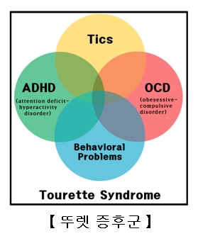 뚜렛증후군의증상-주의력결핍및과잉행동장애.강박장애,학습장애,수면장애,우울증및불안증