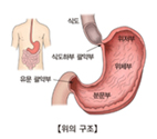 위의 구조