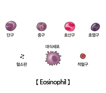 호산구