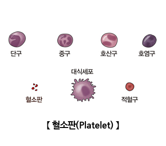 혈소판