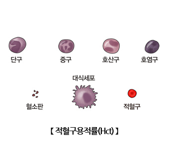 적혈구
