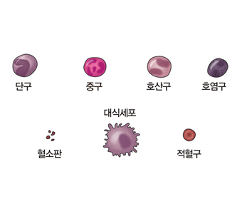 호중구