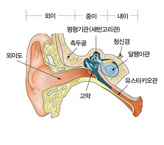 이경검사