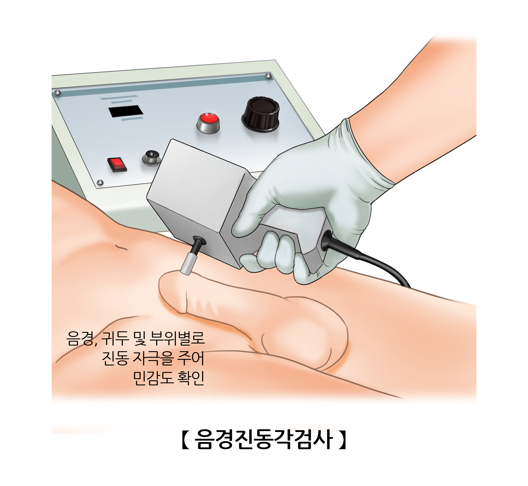 음경진동각검사