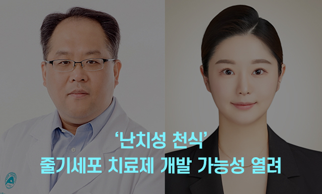 ‘난치성 천식’ 줄기세포 치료제 개발 가능성 열려