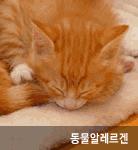 동물알레르겐 이미지