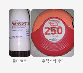 풀미코트,후릭소타이드