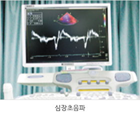 심장초음파 사진