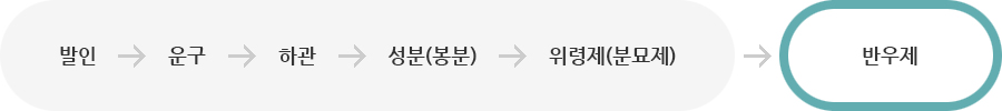 장례3일차 사진