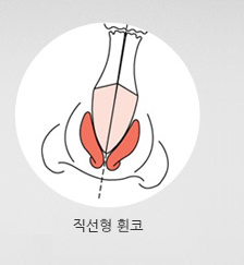 코가 직선형으로 휜 코 입니다.