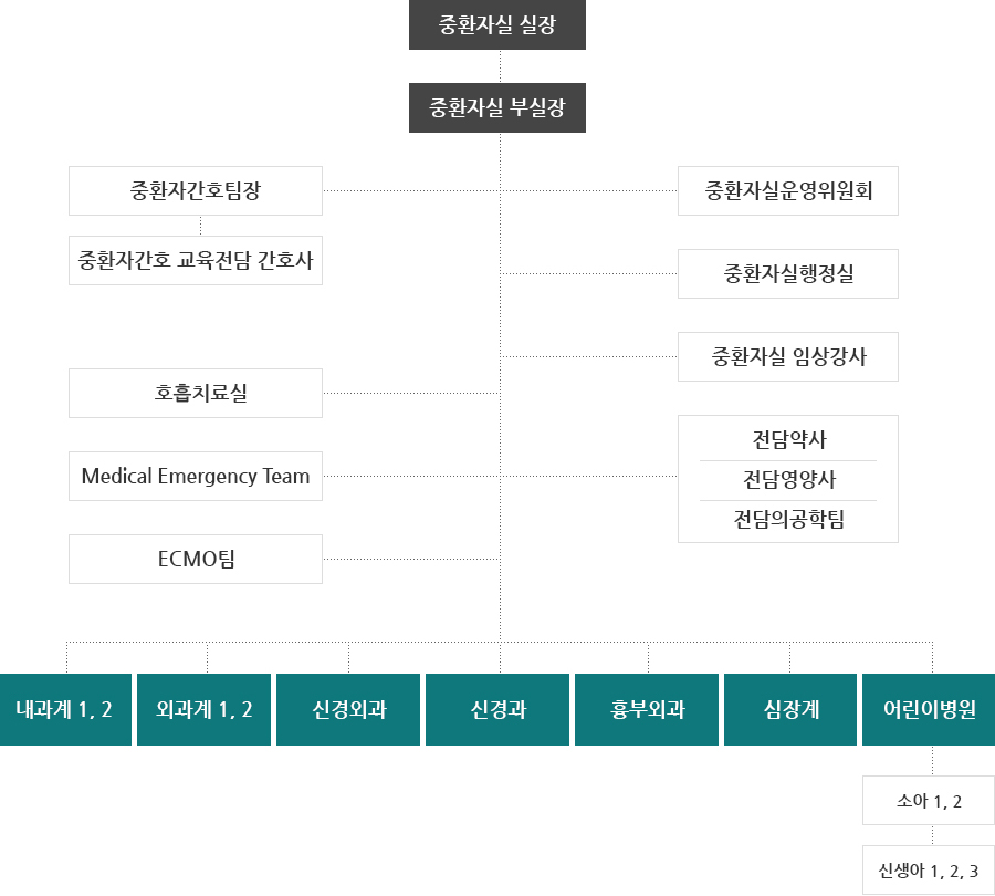 서울아산병원 중환자실 조직도