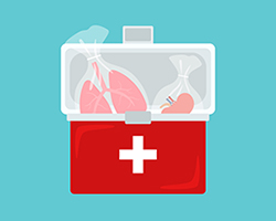 폐 이식 이미지2