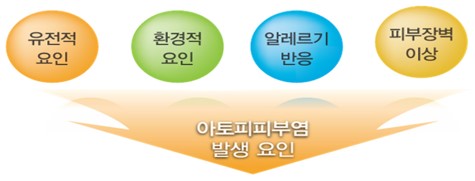 아토피피부염: 아토피피부염 발생 요인 이미지