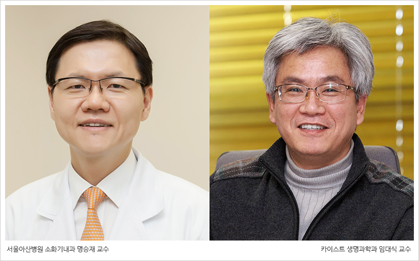 서울아산병원 소화기내과 명승재 교수(좌), 카이스트 생명과학과 임대식 교수(우)