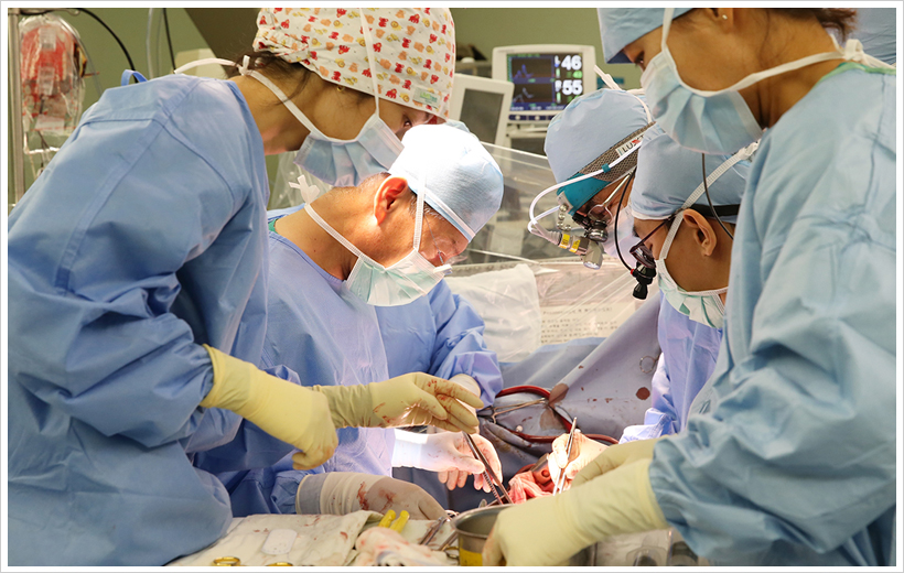 박승일 교수 집도 모습