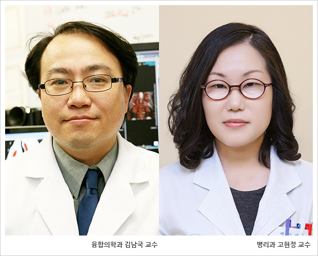 인공지능으로 신장이식 거부반응 빠르게 찾아낸다