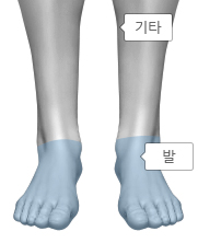 인체 발 부분