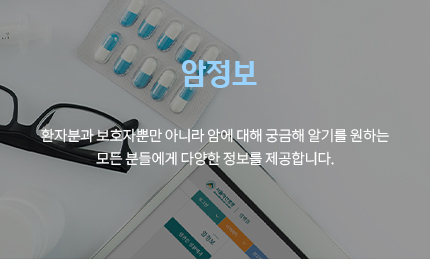 암정보