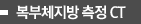 복부체지방 측정 CT